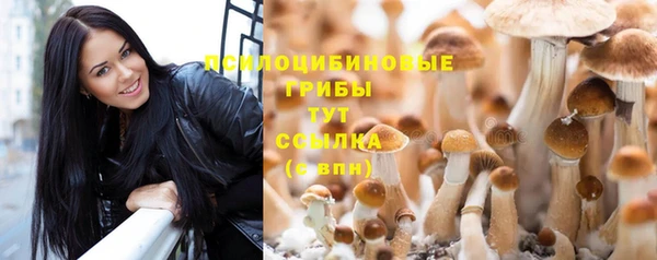 наркотики Каменка