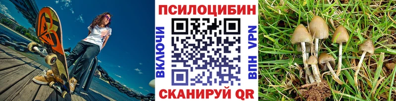 Галлюциногенные грибы MAGIC MUSHROOMS  Ленинск-Кузнецкий 