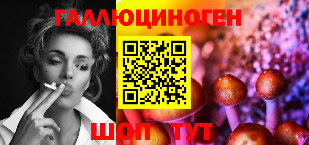 Ленинск-Кузнецкий  Псилоцибиновые грибы MAGIC MUSHROOMS  Вход с VPN 